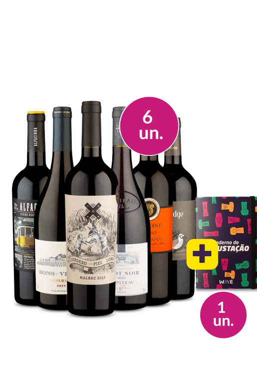 Kit 6 - Queridinhos da We + Caderno de Bolso de Degustação Grátis - Exclusivo We