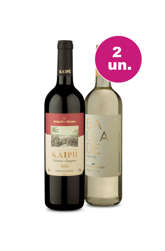 Kit 2 - Brasileiros Campeões por R$77