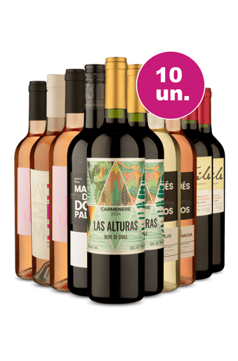Kit 10 - R$21,90 por Garrafa - Oferta Flash IZ