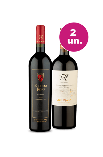 Kit 2 - Premiuns do Valle del Maipo