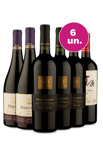 Kit 6 - V9 Gran Reserva e Pérez Cruz por R$62,90 por Garrafa - Oferta Absurda