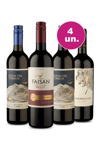 Kit 4 - Sulamericanos por R$27,90 Por Garrafa