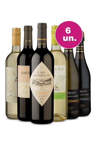 Kit 6 - Sabores Mesclados por R$199 - Exclusivo We