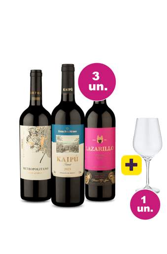 Kit 3 - Tintos Exclusivos por R$99 + Taça Grátis