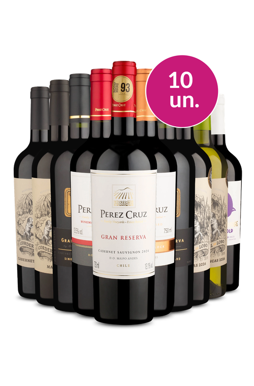 Kit 10 - Renomados da América do Sul - Oferta Absurda