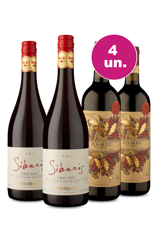 Kit 4 - Encontro de Campeões: Sibaris Pinot Noir e Carpineto Rosso Toscano