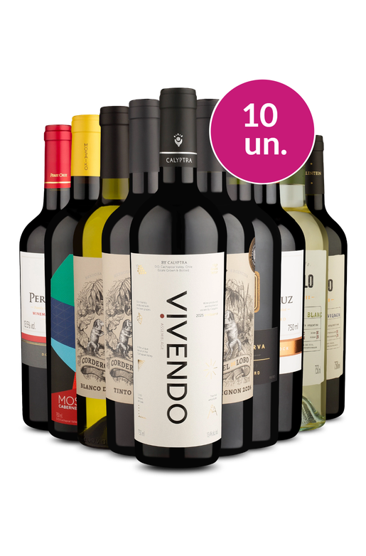 Kit 10 - Sulamericanos Renomados pelo Melhor Valor - Oferta Absurda