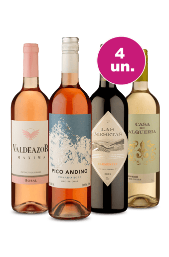 Kit 4 - Sabores da América do Sul por R$24,90 por Garrafa - Oferta Absurda
