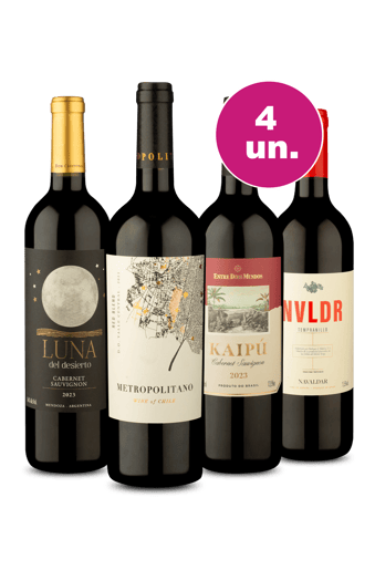 Kit 4 - Ritmo de Verão com Vinho Tinto