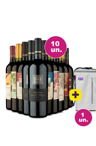 Kit 10 - Tintos mistos + Bolsa Térmica Grátis - Exclusivo We