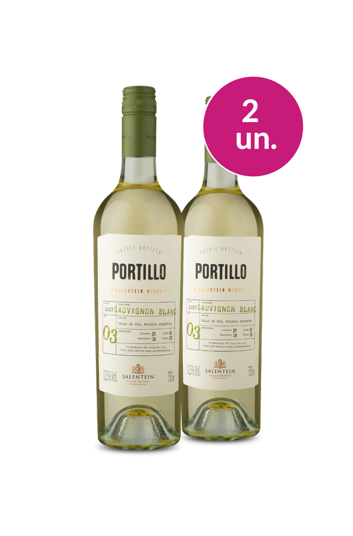 Wine Pendura - Portillo por R$50,93/un