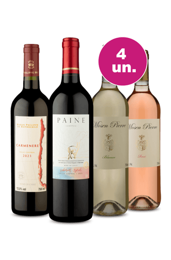 Kit 4 - Chilenos e Espanhois por R$29,90 Por Garrafa - Oferta Insana