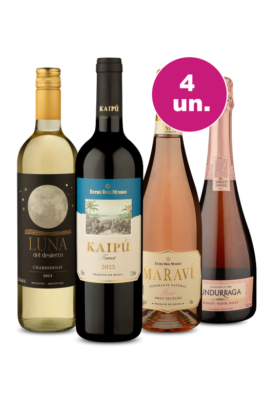 Kit 4 - Os Campeões da América