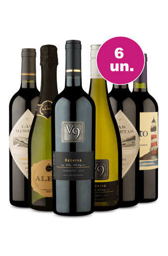 Kit 6 - Degustando Vinhos Espetaculares por R$29,90 por Garrafa