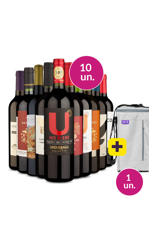 Kit 10 - Tintos + Bolsa p/ 3 garrafas Grátis - Exclusivo We