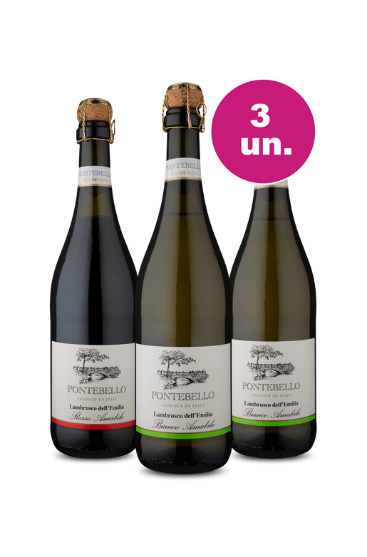 Kit 3 - Frisantes Italianos por R$99 - Spoiler Black Wine