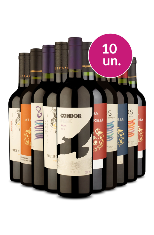 Kit 10 - Tintos Variados por R$ 25 a garrafa - Exclusivo We