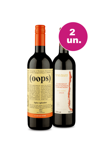 Kit 2 - Carménère Chileno por R$77
