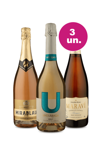 Kit 3 - Fim de Ano Wine - Degustação de Espumantes