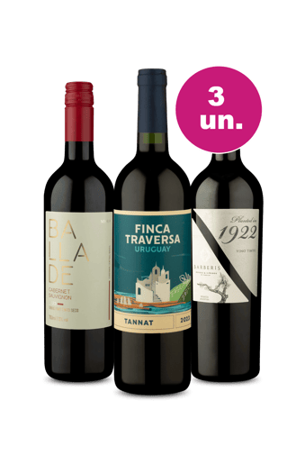 Kit 3 por 99 - Viagem pela América do Sul
