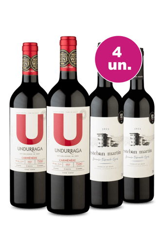Kit 4 - Encontro de Campeões: U By Undurraga Carménère e Esteban Martín Tinto