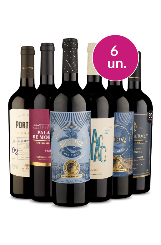 Kit 6 - Rota dos Tintos Encorpados - Exclusivo We