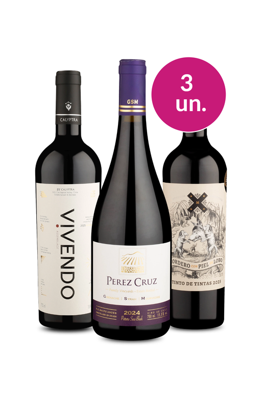 Kit Especial - Boas Vindas - Tintos para Brindar