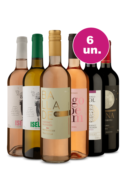 Kit 6 - Incríveis por R$199