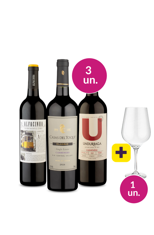 Kit 3 - Tintos por R$119 + Taça de Cristal Grátis - Oferta Absurda IZ