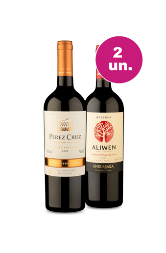 Kit 2 - Chilenos de Renome - R$59,90 por Garrafa