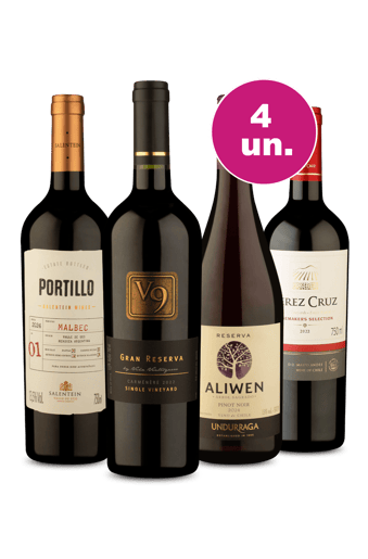 Kit 4 - Tintos Incomparáveis por R$249