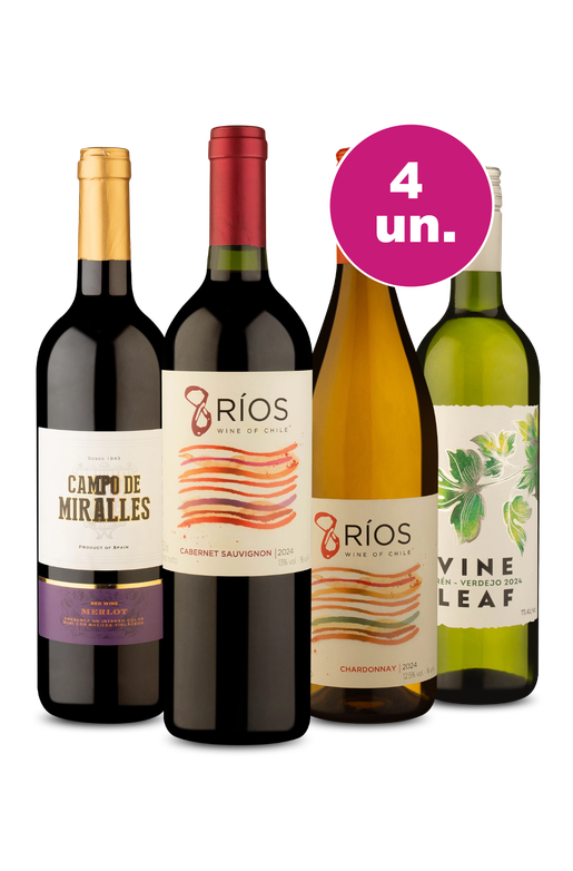 Kit 4 - Exclusivo por R$99