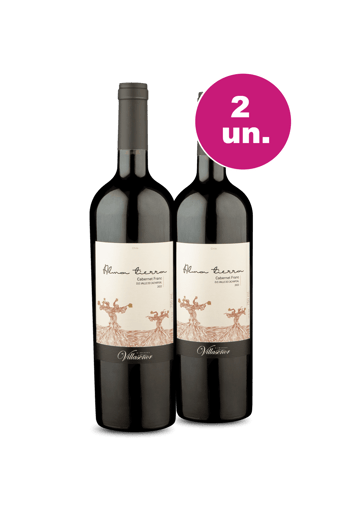 Kit 2 - Alma Tierra Cabernet Franc - Oferta Insana