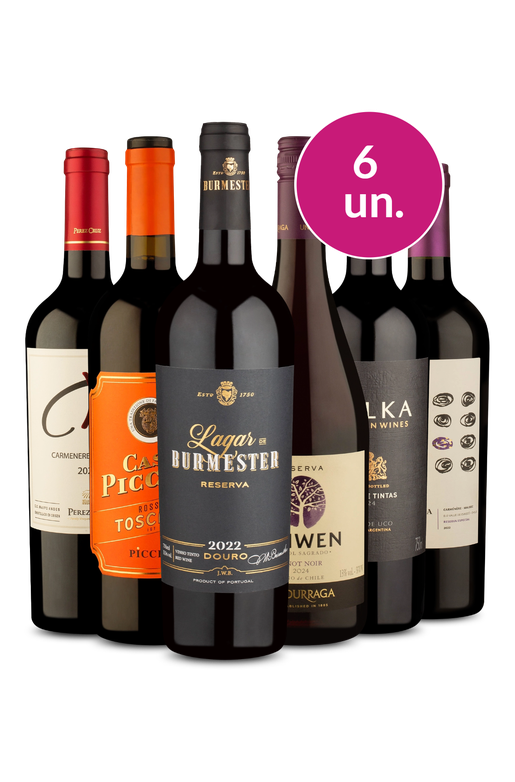 Kit 6 - Elegantes no Precinho - Exclusivo We