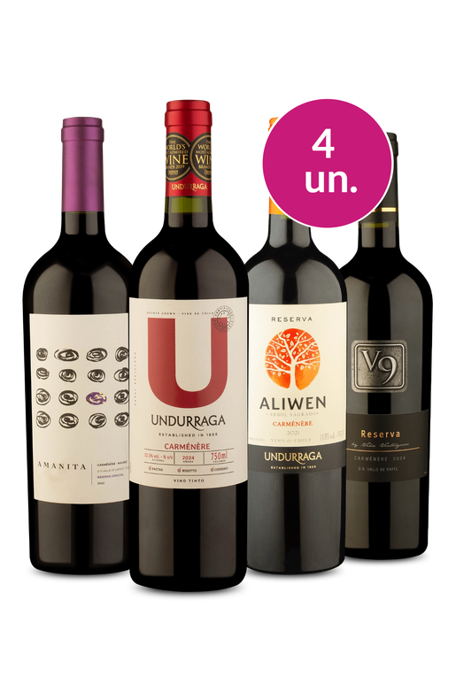 Kit 4 - Carménère: Taninos Macios, Corpo Médio e Notas de Especiarias - Exclusivo We