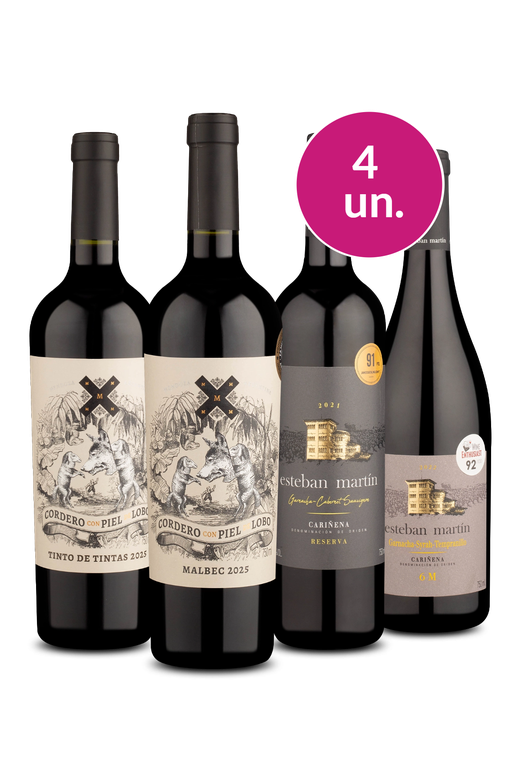 Kit 4 - Argentina e Espanha - Exclusivo We