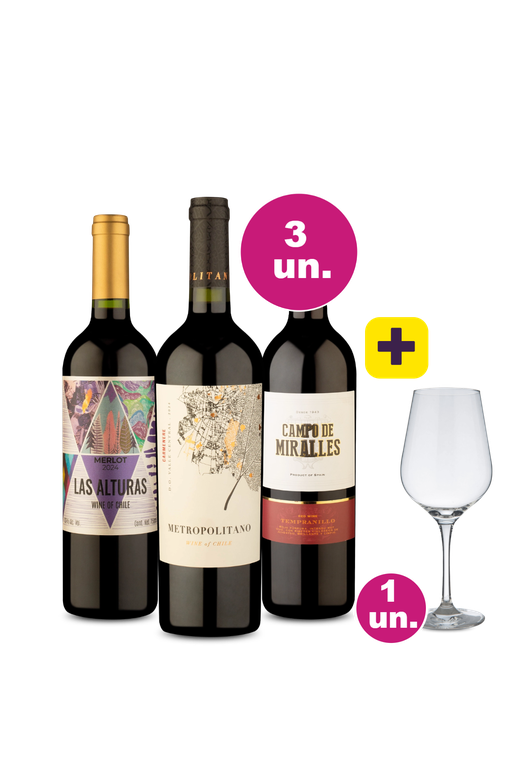 Kit 3 - Tintos por R$99 + Taça Grátis - Oferta Absurda Black Wine