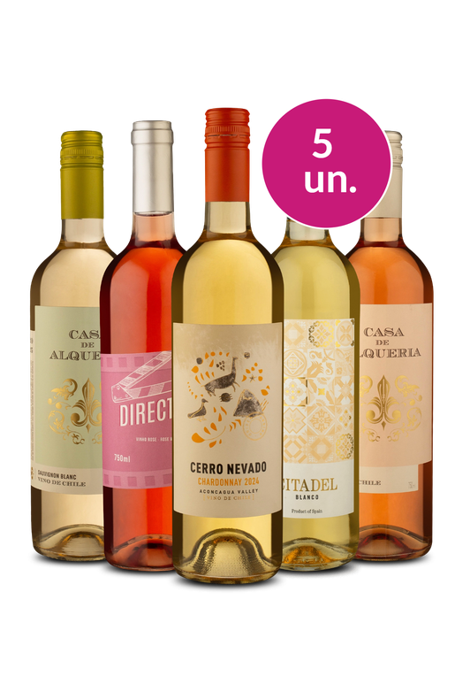 Kit 5 - Versáteis por R$100 - Exclusivo