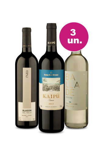 Kit 3 - Sabores da América do Sul por R$99