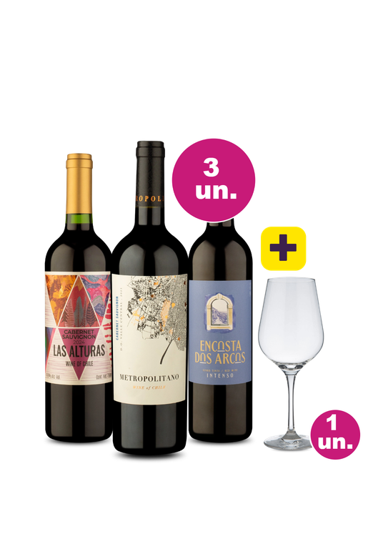 Kit 3 - Tintos por R$99 + Taça de Cristal Grátis - Spoiler Black Wine