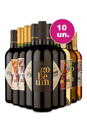 Kit 10 - R$21,90 por Garrafa - Oferta Flash IZ
