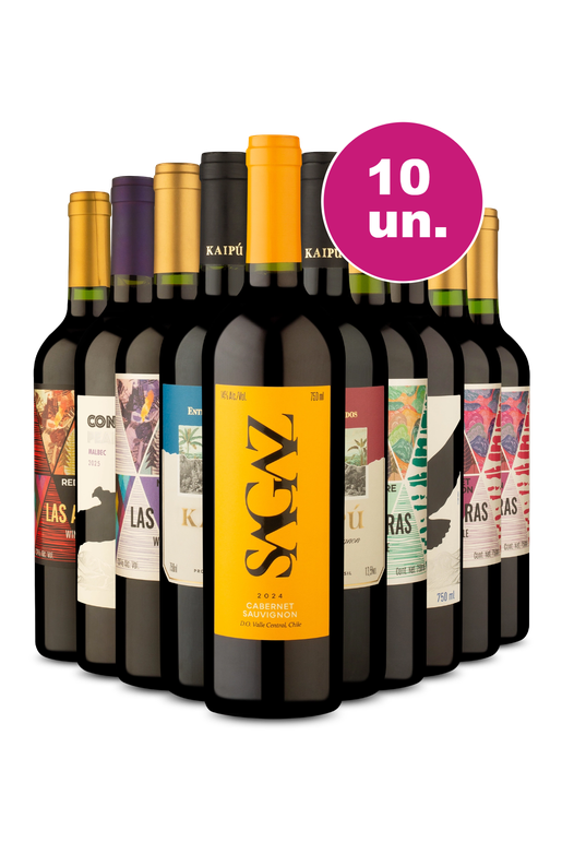 Kit 10 - Vinhos Tintos por R$ 25,90 por garrafa - Exclusivo We