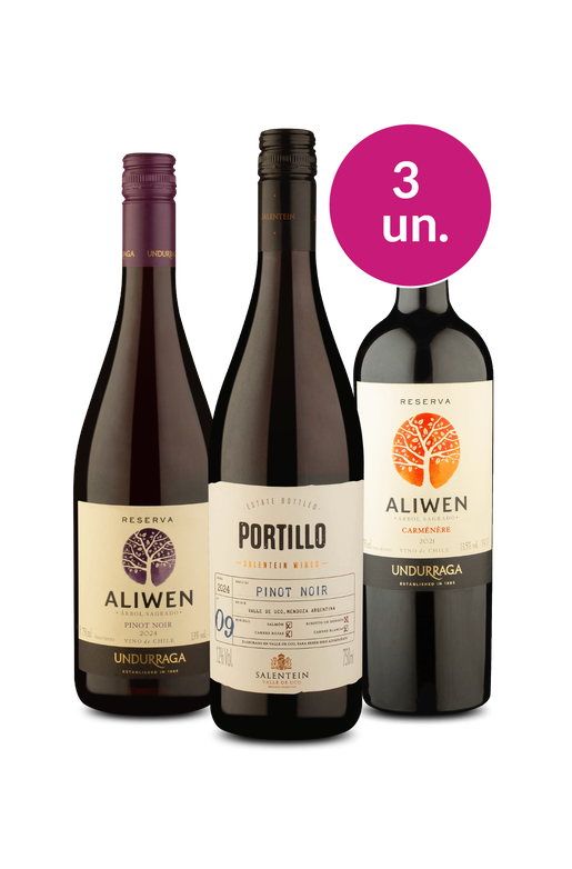 Kit 3 - Tintos Especiais - Exclusivo We