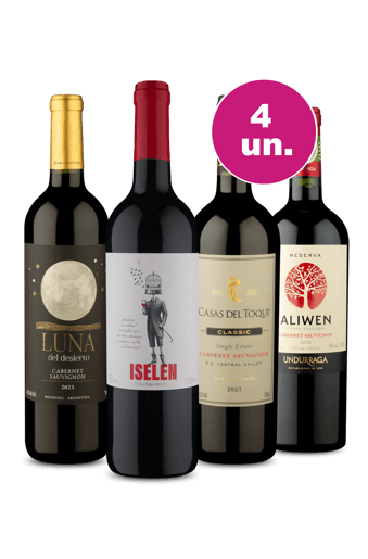 Kit 4 - Carnaval Com Tintos