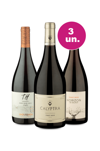 Kit 3 - Degustação Pinot Noir Premium - Exclusivo WE