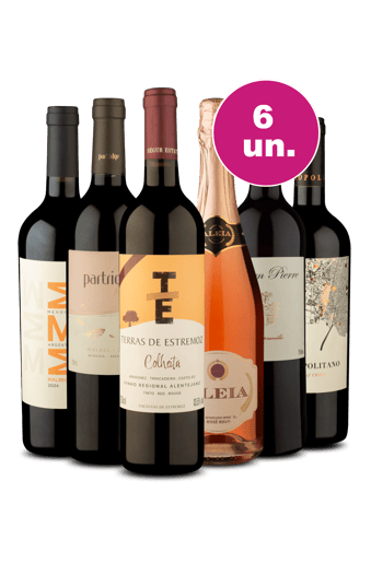 Kit 6 - Mundo de Sabores por R$199