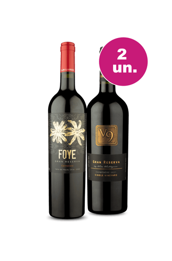 Kit 2 - Gran Reserva Carménère - Oferta Flash
