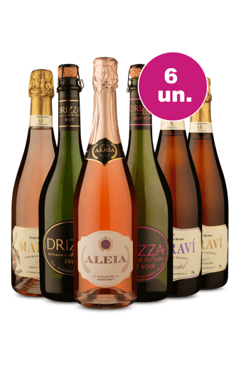 Kit 6 - Degustação de Espumantes por R$39,90 por Garrafa