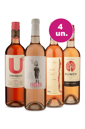 Kit 4 - Bloco do Rosé