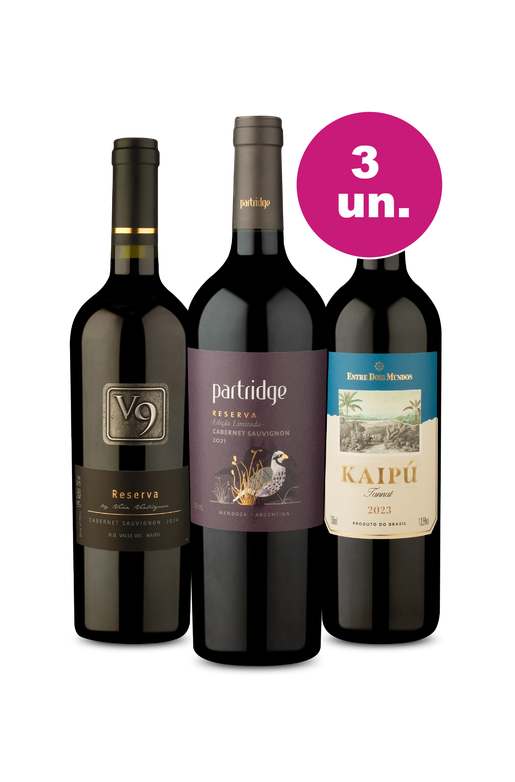 Kit 3 - Trio Imperdível por R$99 - Oferta Absurda Black Wine